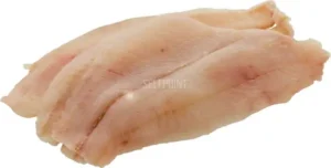 Flounder Fillet