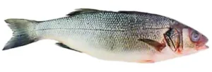 Whole Bronzini